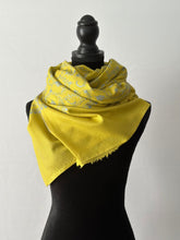 Load image into Gallery viewer, Sozni Embroidered Jali Pashmina Stole (100% Fine Wool) - embroidered Kashmiri Shawl, all over embroidery