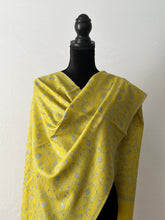Load image into Gallery viewer, Sozni Embroidered Jali Pashmina Stole (100% Fine Wool) - embroidered Kashmiri Shawl, all over embroidery